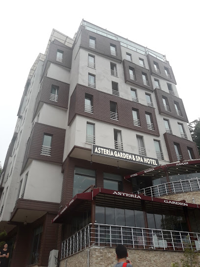Asteria Garden & Spa H Otel Keşap, Giresun Wellness & Spa