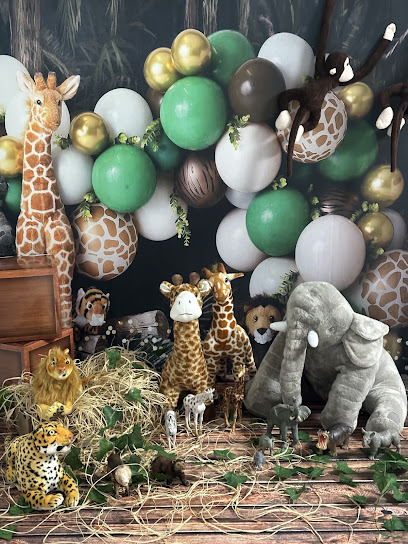 Ay Baby Spa & Fotoğraf Atölyesi Polatlı