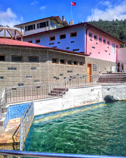 Dereli Kaplıca Ları