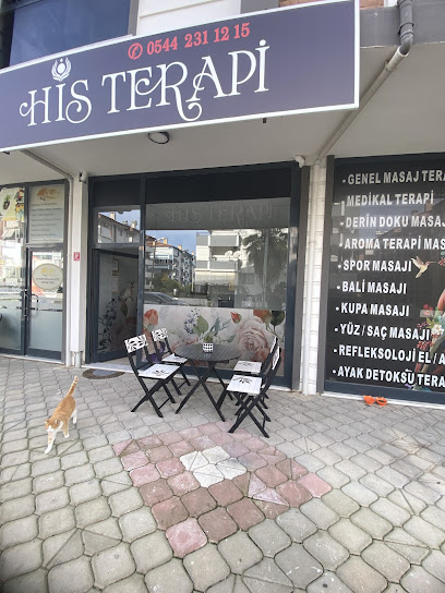 His Terapi Salonu Edremit, Balıkesir Masaj Salonu