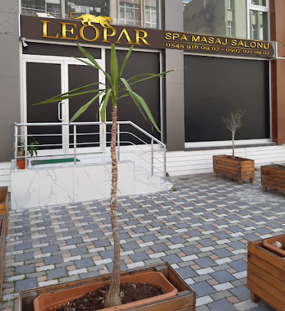 Leopard Spa Masaj Salonu & Güzellik Merkezi Seyhan, Adana Wellness & Spa