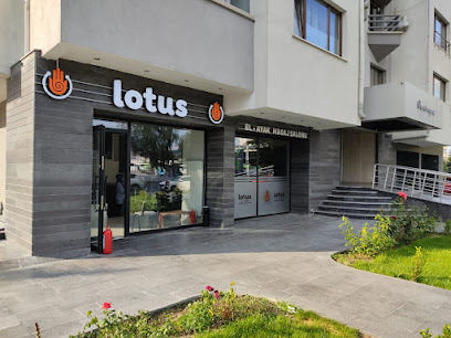 Lotus Masaj Kocasinan, Kayseri Masaj Salonu