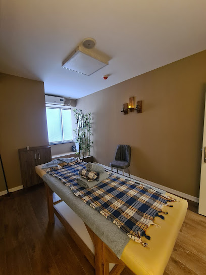 Therapy Masaj Sağlıklı Yaşam Kocasinan, Kayseri Medikal Masaj